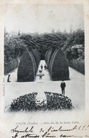 Delcampe - Luçon - Allée Des Ifs Du Jardin Public - CPA Animée Nuage 1903 - Lucon