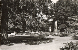 BAD DRIBURG - KURPARK - REAL PHOTO - F.P - STORIA POSTALE - Bad Driburg