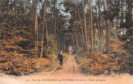 Forêt De CHÂTEAUNEUF-en-THYMERAIS (Eure-et-Loir) - L'Allée Des Sapins - Châteauneuf