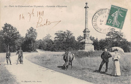 Forêt De CHÂTEAUNEUF-en-THYMERAIS (Eure-et-Loir) - Pyramide D'Hauterive - Vache - Châteauneuf