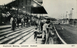 LEICS - LEICESTER - STADIUM, GREYHOUND MEETING  Le210 - Leicester