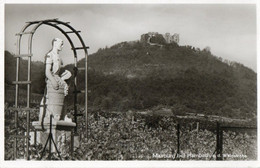 MAXBURG BEI HAMBACH  WEINSTRASSE - REAL PHOTO - F.P - STORIA POSTALE - Hamm