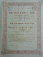 S.A. Hauts-Fourneaux Et Usines De L'Olkovaia (Ousp.)- Obligation De 500 Francs (1898) - Rusland