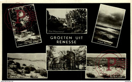 GROETEN UIT RENESSE - Renesse