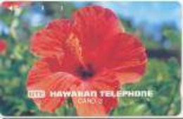 HAWAI : HAW11 3u HIBISCUS  (flower) MINT - Hawaï