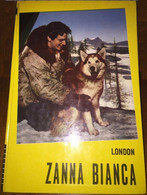 LIBRO LONDON ZANNA BIANCA EDIZIONI PAOLINE 1967 - Kinder Und Jugend