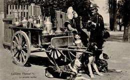 Hund Hundewagen Laitire Flamande 1914 I-II Chien - Dogs