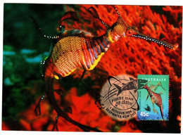 Australia 1998 Planet Ocean,Weedy Seadragon, Maximum Card - Meereswelt