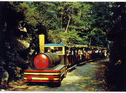 61 - Bagnoles De L'Orne - Le Petit Train Dans L'allée Escarpée De La Station Thermale - Bagnoles De L'Orne