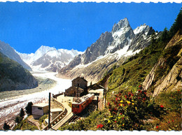 74 - Chamonix Mont Blanc - La Gare D'arrivée De Montenvers Et La Mer De Glace - Chamonix-Mont-Blanc