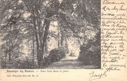 CPA Le Roeulx - Souvenir Du Roeulx - Sous Bois Dans Le Parc - Le Roeulx