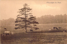 CP Le Roeulx - Paturages Du Parc - Chateau Des Viviers - Le Roeulx