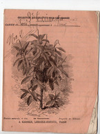 Cahier D'écolier Avec Couverture Illustrée LE CAOUTCHOUC (M3412) - Protège-cahiers