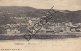 Postkaart-Carte Postale - NESSONVAUX - Panorama  (C2080) - Trooz