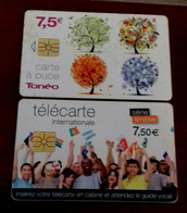 TELECARTE /  Carte Cabine  Toneo - 2013