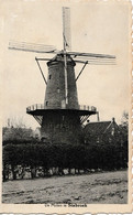 De Molen Te Stabroeck - Stabrök