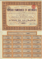 Titre De 1911 - Société Industrielle Des Foyers Fumivores Et Intensifs - - Industrie