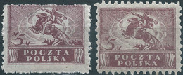 POLONIA-POLAND-POLSKA,1919 North Poland Issues,2x 5M Violet,Mint - Nuovi