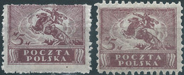 POLONIA-POLAND-POLSKA,1919 North Poland Issues,2x 5M Violet,Mint - Ongebruikt