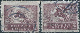 POLONIA-POLAND-POLSKA,1919 North Poland Issues,2x 5M Violet,Obliterated - Gebraucht