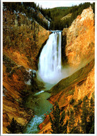 Yellowstone National Park Lower Falls - USA Nationale Parken