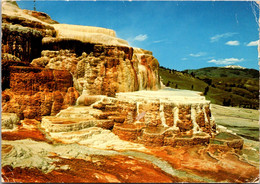 Yellowstone National Park Minerva Terrace - USA Nationalparks