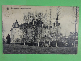 Château De Ham-sur-Heure - Ham-sur-Heure-Nalinnes