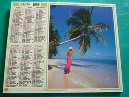 Calendrier 1989 Oberthur Ile Guadeloupe  Paysage Exotique Palmier Almanach Facteur PTT POSTE Département Sarthe - Grand Format : 1991-00