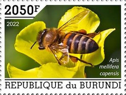 BURUNDI 2022 - Bees IV, 1v. Official Issue [BUR2201074a] - Honeybees