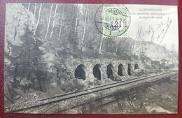 Luxembourg Carte Postale Postcard 1913 Timbre Taxe - Impuestos