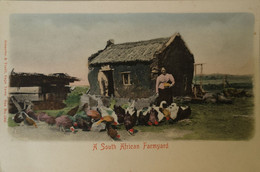 South Africa // A South African Farmyard Ca 1900 - Zuid-Afrika