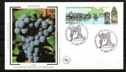 Vignette LISA 2009 Premier Jour Macon Sur Lettre - 1999-2009 Illustrated Franking Labels