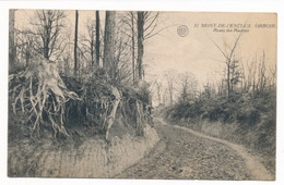 MONT DE L'ENCLUS  ORROIR   ROUTE DES RACINES     2 SCANS - Kluisbergen