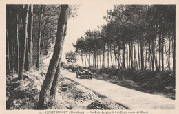 Cpa QUESTEMBERT  Le Bois De Pins à Louffault, Route De Noyal - Questembert