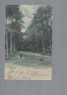 Harburg - Brunnenthal In Der Haake - Postkaart - Harburg