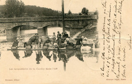 LES LAVANDIERES DE LA GACILLY DANS L'AFF - La Gacilly