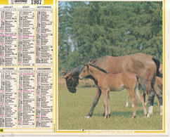 ALMANACH DU FACTEUR: Calendrier Des Postes 1987, SOMME, Berger Allemand, Jument Et Son Poulain - Big : 1981-90