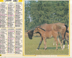ALMANACH DU FACTEUR: Calendrier Des Postes 1987, SOMME, Berger Allemand, Jument Et Son Poulain - Grand Format : 1981-90