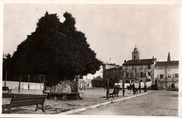 83 / LE BEAUSSET / LA PLACE NOUVELLE ET SON PUITS RUSTIQUE - Le Beausset