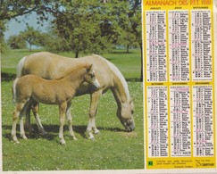 ALMANACH DU FACTEUR: Calendrier Des Postes 1984: SOMME, Cheval Et Chien, Jument Et Poulain - Grand Format : 1981-90