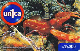 TARJETA DE VENEZUELA DE UN CAMARON PISTOLERO  (UNDERWATER WORLD-FISH) - Fische