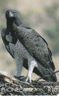 TARJETA DE SUDAFRICA DE UN AGUILA  (EAGLE-BIRD-PAJARO) - Adler & Greifvögel