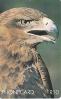 TARJETA DE SUDAFRICA DE UN AGUILA  (EAGLE-BIRD-PAJARO) - Aquile & Rapaci Diurni