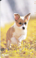 TARJETA DE JAPON DE UN PERRO (CAN-DOG) - Dogs