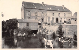 ILLIERS (Eure-et-Loir) - Moulin De La Billanche - Vaches - Illiers-Combray