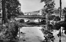 JOUY (Eure-et-Loir) - Le Pont Sur L'Eure - Jouy