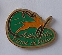Pin' S  Ville, Education, ECOLE, Collège  Notre  Dame  De  Vaux  Avec Un Animal  Chevreuil ?  ( 38 ) - Administrations