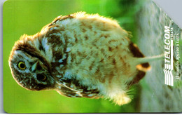 32612 - Italien - Owl , Eule , Tiere , Animal - Öff. Diverse TK