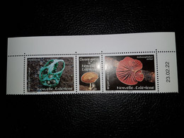 Caledonia 2022 Caledonie Mushroom Champignon PILZE FUNGI Ileodictyon 2v +label BORD UP DATE - Unused Stamps