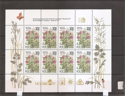 Russie - Fleurs ( 6124 En Feuille XXX -MNH - Avec "MOCKBA97" ) - Ganze Bögen